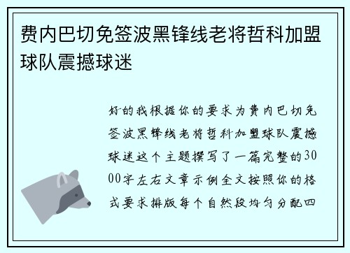 费内巴切免签波黑锋线老将哲科加盟球队震撼球迷 费内巴切免签波黑锋线老将哲科加盟球队震撼球迷