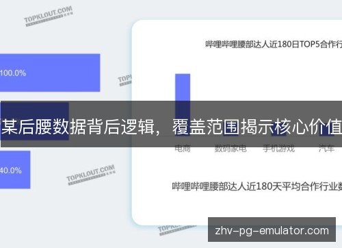 某后腰数据背后逻辑,覆盖范围揭示核心价值 某后腰数据背后逻辑,覆盖范围揭示核心价值